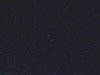 Vinyl Navy