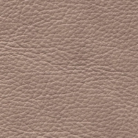 Almond Genuine Leather