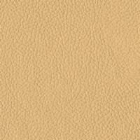 Golden Brisa Wide