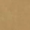 buckskin
