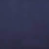 artic blue