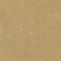 Buckskin Brisa